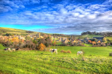 English village of Abbotsbury Dorset UK set in the countryside with cows and a church like a painting in vivid bright colour HDR clipart