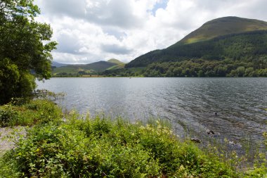 loweswater lake district cumbria İngiltere İngiltere yakın cockermouth