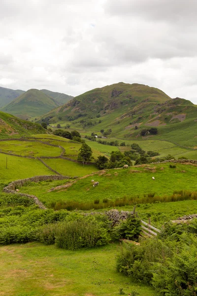 Muri a secco e montagne Lake District Italia — Foto Stock