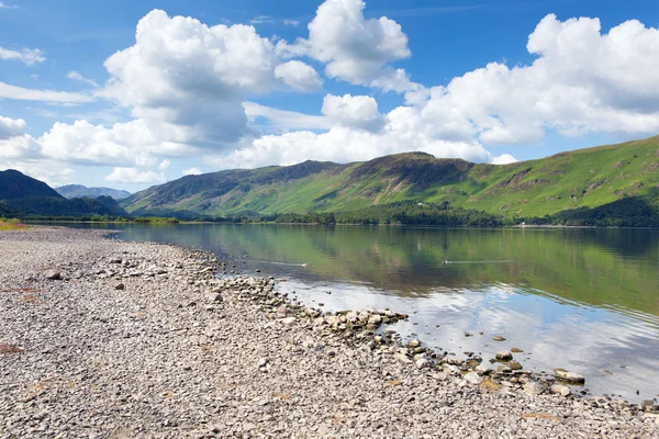 Békés nyugodt nyugodt nyári reggelen a Derwent Water angol lake District, kilátással a Catbells — Stock Fotó