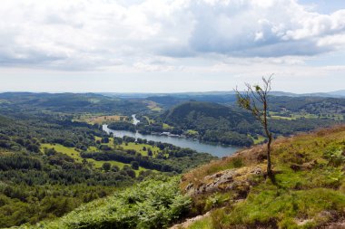 Windermere Lake District İngiltere'de İngiltere'den Gummers nasıl yükseltilmiş bir görünümü ile yaz aylarında yelken tekne