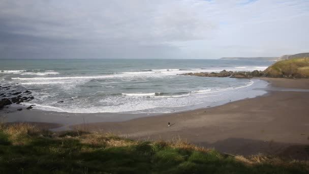 南のウエスト ・ コースト ・ パスの Bigbury で海とバー島の近く Challaborough 湾南デボン イギリス人気のサーフィン スポット — ストック動画