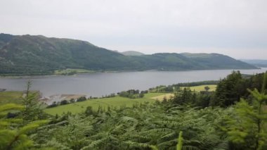 Bassenthwaite Lake District yakınındaki Keswick Cumbria İngiltere İngiltere rüzgarda üfleme ağaçlar