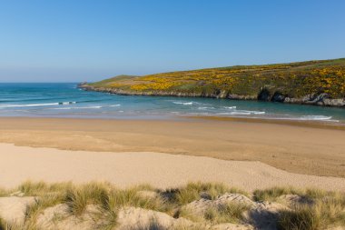 Crantock koyu ve Plajı Kuzey Cornwall İngiltere İngiltere Newquay yakınındaki ve mavi gökyüzü ve denizin ile baharda Güney West Coast yolda
