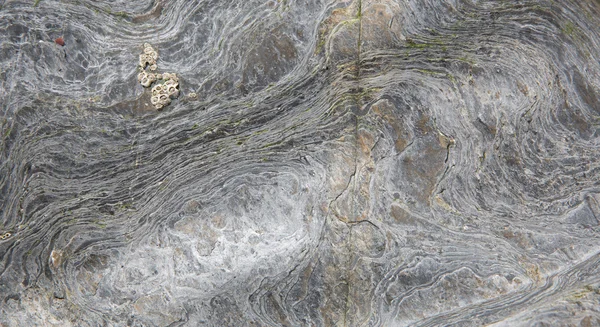 Felsen Hintergrund Textur mit Wirbel und natürlichem Muster und Design — Stockfoto