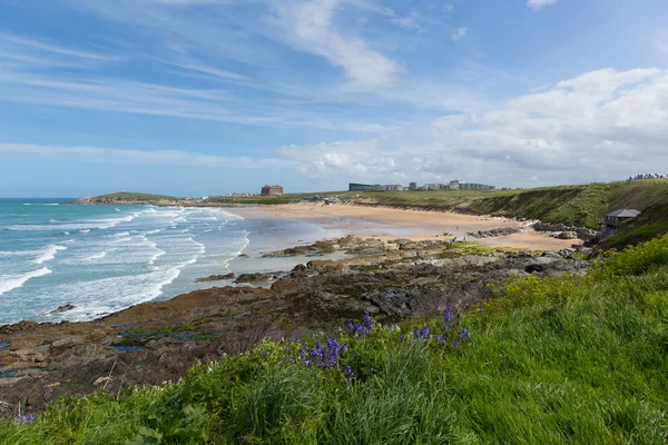 Fistral beach Newquay North Cornwall uk with bluebells and waves in spring one of the best surfing beaches in the UK — Stock Photo, Image