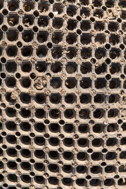 Honeycombe desen birçok delik veya daireler bir doku veya kum taneleri ile arka plan gibi
