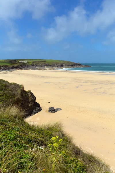 Harlyn Bay beach North Cornwall England UK near Padstow and Newquay and on the South West Coast Path in spring with blue sky and sea — Stock Photo, Image