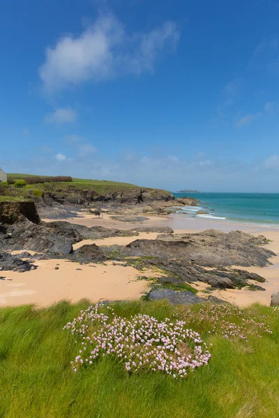 Sziklás Észak-Cornwall partjainál Harlyn Bay Anglia Egyesült Királyság Padstow és Newquay közelében és a South West Coast Path-tavasszal kék ég és a tenger — Stock Fotó