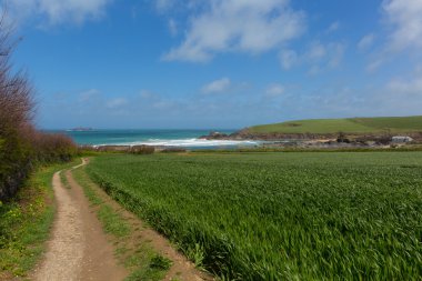South west coast path Newtrain Bay North Cornwall near Padstow and Newquay rocky coast and on the South West Coastal Path in spring with blue sky and sea clipart