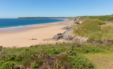 Pobbles beach The Gower Peninsula Wales uk popular tourist destination and next to Three Cliffs Bay in summer with blue sky and sea