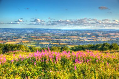 Blackdown Hills Taunton Vadisi canlı renkli HDR genelinde yönünde bir yaz akşamı Batı ülke sayısı Quantock Hills Somerset İngiltere'de İngiltere'de bir resim tarihlerde
