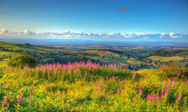 Vista de Quantock Hills Somerset Inglaterra Reino Unido para Hinkley Point Nuclear Power Station e o Canal Bristol em uma noite de verão em HDR colorido vívido como uma pintura — Fotografia de Stock