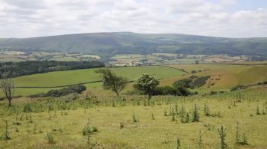 Dunkery Hill için en yüksek nokta Exmoor Somerset İngiltere'de İngiltere'de Pan üzerinde göster.