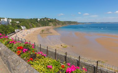 Tenby beach Pembrokeshire Galler İngiltere'de yaz renkli çiçekli