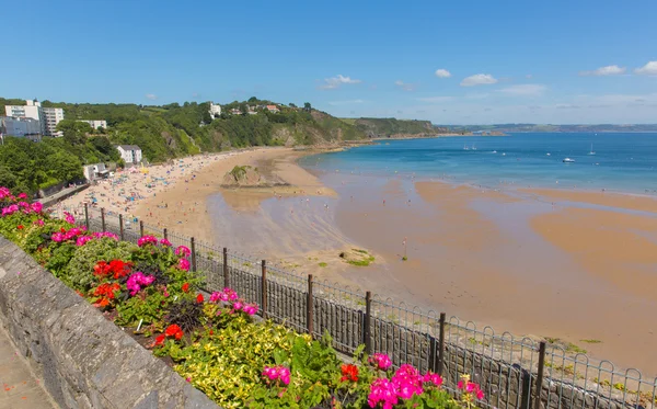 Tenby beach Pembrokeshire Wales uk in summer with colourful flowers