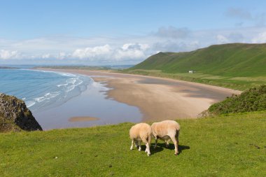 Rhossili beach Gower yarımadası Güney Galler İngiltere'de en iyi plajlarından