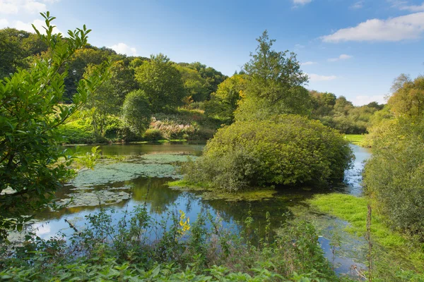 Otterhead Lakes East Devon England uk na área de Blackdown Hills de excelente beleza natural — Fotografia de Stock