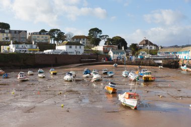Paignton liman Devon İngiltere Torquay yakınındaki