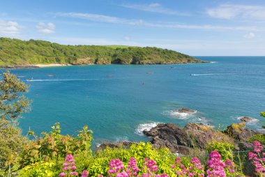 Salcombe Devon sahil İngiltere'de İngiltere'de pembe çiçekler ve pilot iş tekne ile yaz