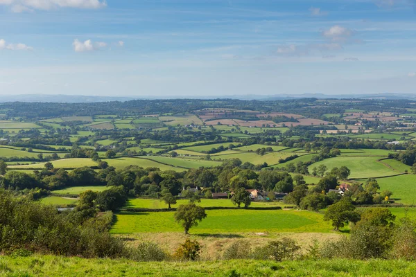 Blackdown Hills Kelet Devon vidéki kilátást Kelet-hegy közelében Ottery St Mary — Stock Fotó