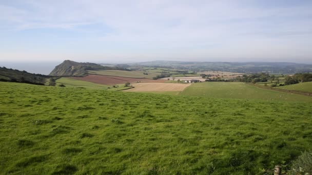 Devon escena rural entre Ladram Bay y Sidmouth Inglaterra Reino Unido con campos verdes en verano — Vídeo de stock