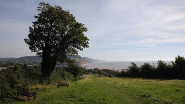 Sidmouth Devon England uk with an elevated view of this English tourist town — Stock Video