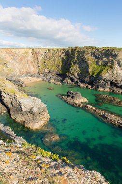 Açık turkuaz mavi tilki Cove Cornwall Yalı Porthcothan arasındaki Treyarnon