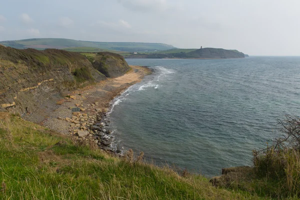 英国ジュラシック ・ コースト ラルワース コーブ ドーセット イギリス クラベル タワーに向かって東 Kimmeridge 湾 — ストック写真