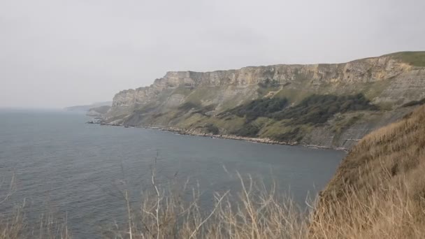 Uçurum ve sahil Kimmeridge Bay Dorset doğusunda Lulworth Cove Jurassic kıyı şeridi İngiltere İngiltere — Stok video