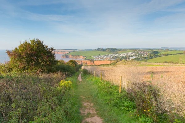 Küstenpfad zu ladram bay devon england uk jurassische küste — Stockfoto