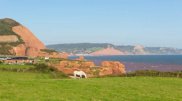 ジュラ紀の海岸でロンドン多いとシッドマウスの間にある赤い砂岩の岩の柱でデボン イギリス Ladram ベイ ビーチ — ストック写真