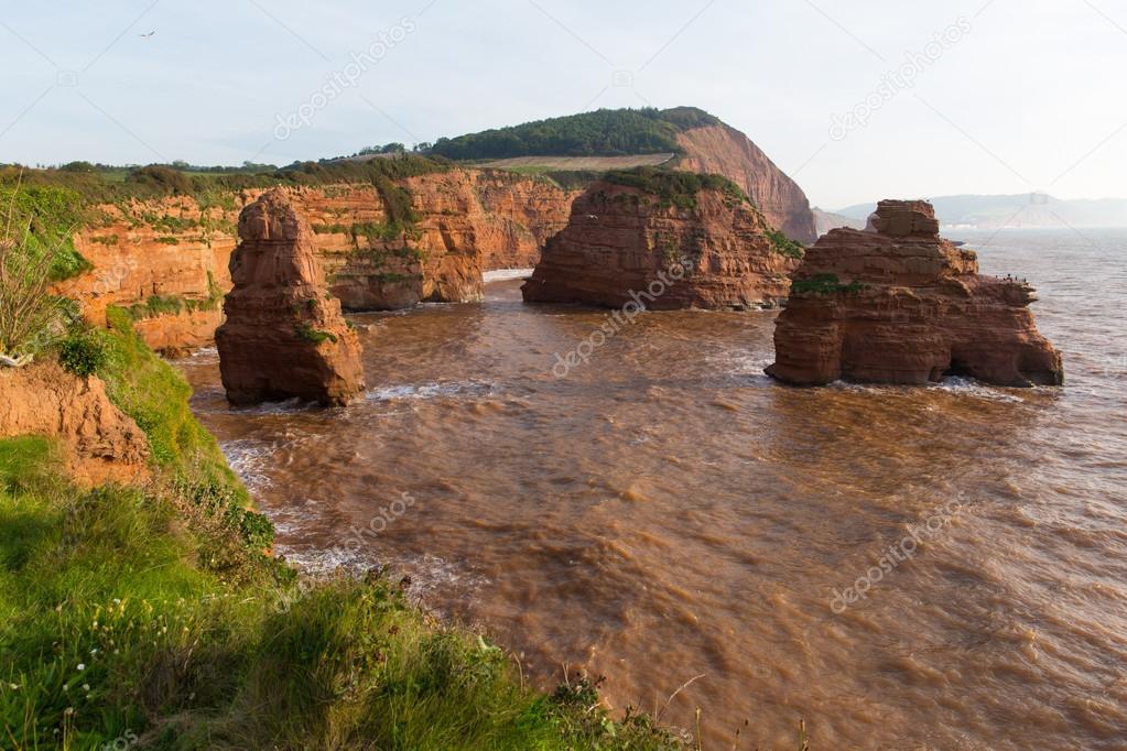 Sandstone rock stacks Ladram Bay beach Devon England UK located between Budleigh Salterton and Sidmouth and on the Jurassic Coast