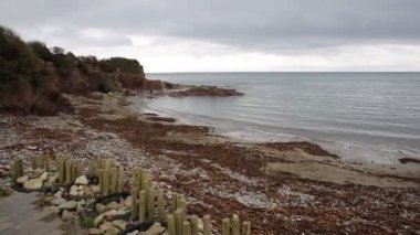 Talland Bay beach Cornwall Polperro İngiltere İngiltere arasındaki Looe mevsimi kış pürüzsüz profesyonel tavada