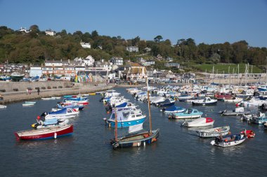 Lyme Regis Dorset İngiltere'de İngiltere'de güzel bir sakin hala gün İngilizce Jurassic Coast