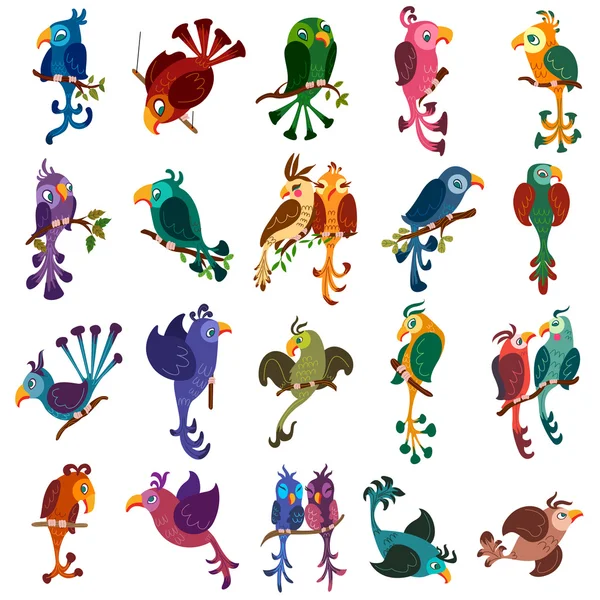 Renkli kuş koleksiyonu