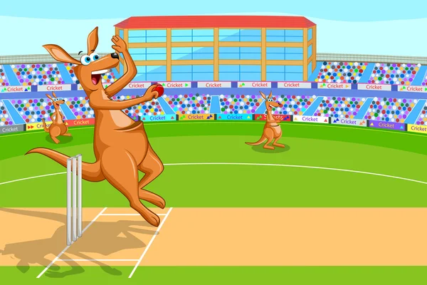 Kangaroo playing cricket — Stock Vector