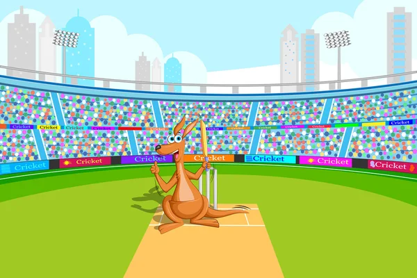 Kangoeroe spelen cricket — Stockvector
