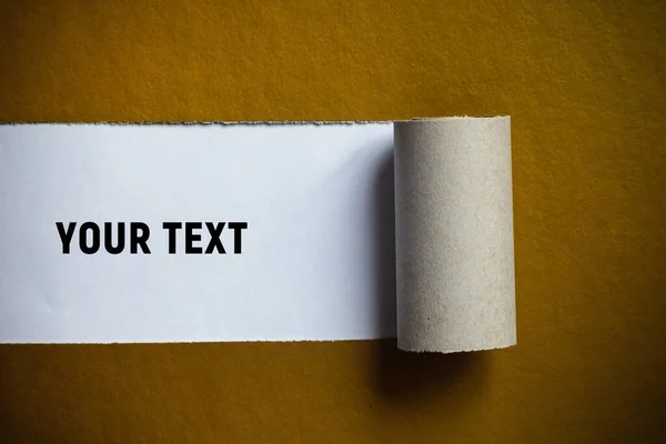 A torn strip of a sheet of golden brown paper is rolled into a roll. Copy space. Place for text.