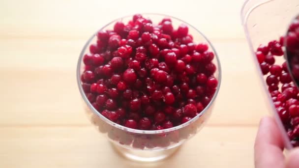 Frozen Berries Placed Glass Dish Spoon Berries Currants Lingonberries Cranberries — Stock Video