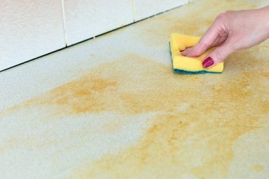 Kadın mutfak masasını yağ ve pislikten yıkıyor. Boşluğu kopyala 