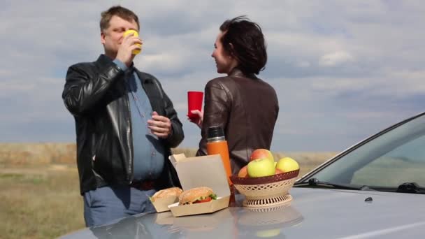 Adultos Apaixonados Por Viajantes Carro Relaxam Almoçam Perto Carro — Vídeo de Stock