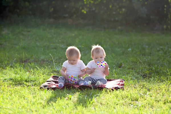 Crianças Gêmeas Sentam Parque Cidade Dia Verão Cobertor Com Brinquedos — Fotografia de Stock