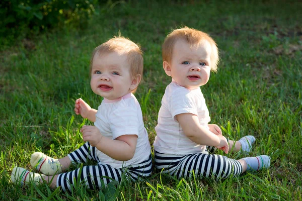 Two Twins Sit Backs Leaning Green Grass City Park — Stock Photo, Image