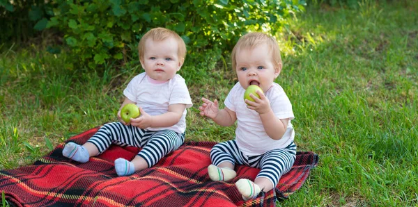 Chicas Gemelas Parque Ciudad Sentadas Manta Comiendo Manzanas —  Fotos de Stock