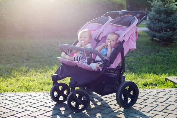 Unattended Stroller Two Children City Park Stock Picture