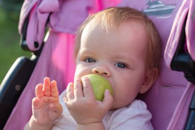 Küçük sarışın bir çocuk bebek arabasında oturuyor ve elma yiyor..