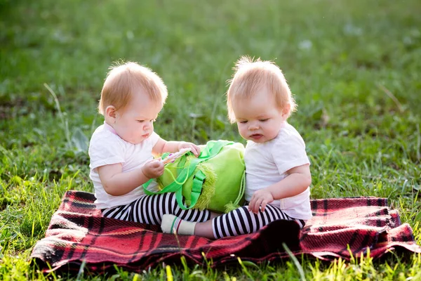 공원에 담요를 쌍둥이 아이들의 배낭을 — 스톡 사진