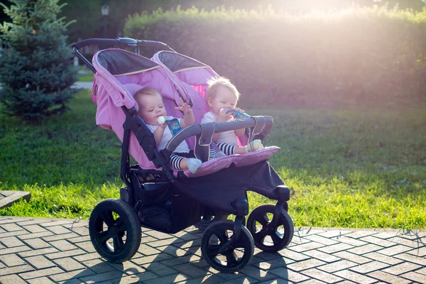 Meninas Idênticas Meses Idade Carruagem Bebê Dia Verão — Fotografia de Stock