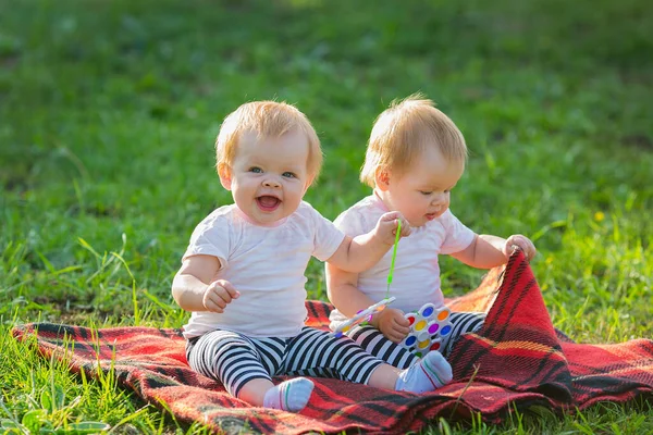 여름날 공원에서 담요를 장난감을 가지고 쌍둥이 — 스톡 사진